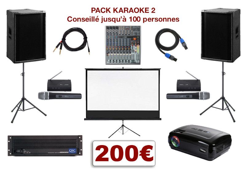 Location sonorisation pour votre soirée karaoké - Pack son et 2 micros UHF (sans  fils)